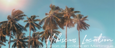 Hibiscus Location Voiture Martinique